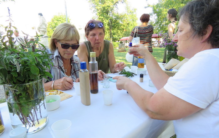 dobra-pot-na-sežanskem-občinskem-prazniku-2016-