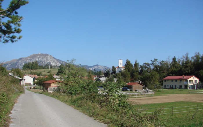 cvetoče-police-na-snužejskem-