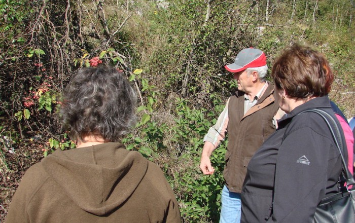 cvetoče-police-na-snužejskem-
