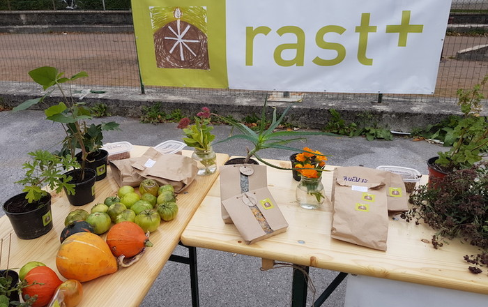 jesenska-rast-v-divaci-