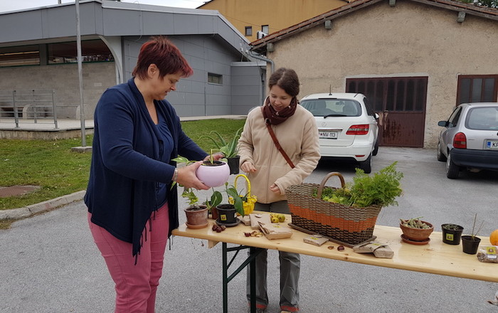 jesenska-rast-v-divaci-