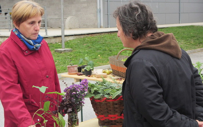 jesenska-rast-v-divaci-