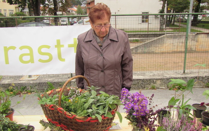 jesenska-rast-v-divaci-