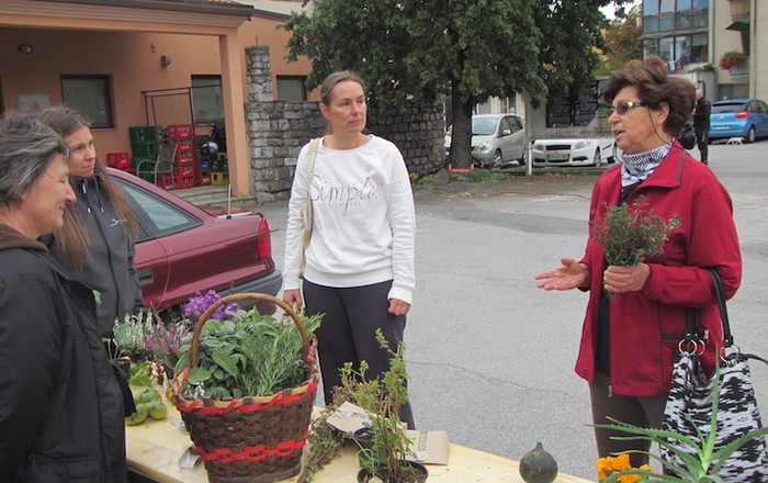 jesenska-rast-v-divaci-