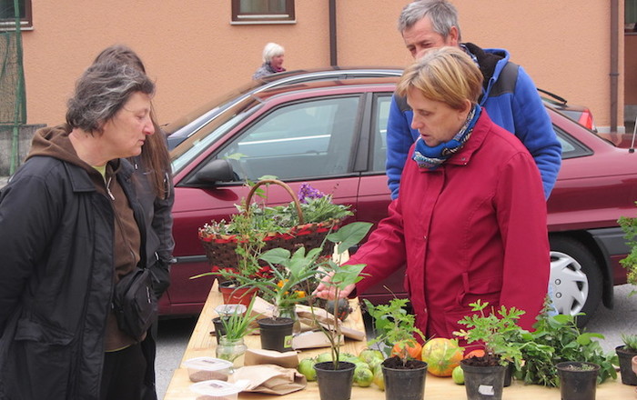 jesenska-rast-v-divaci-