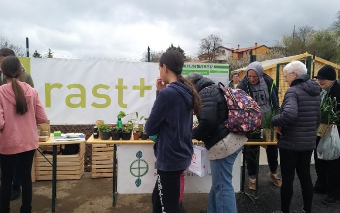 rast-pri-njivcah-