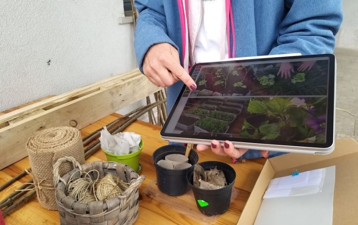 vrt-brez-plastike-njivce-