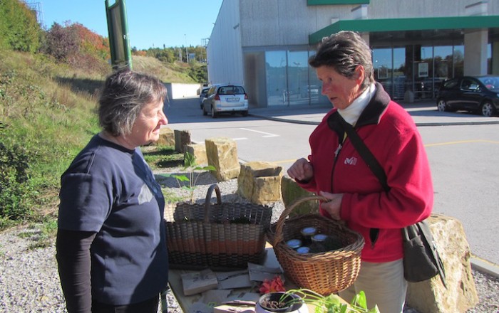 jesenska-rast-na-kozini-