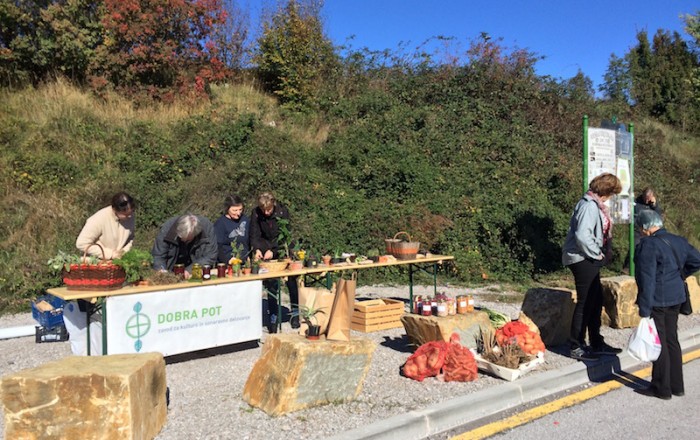 jesenska-rast-na-kozini-