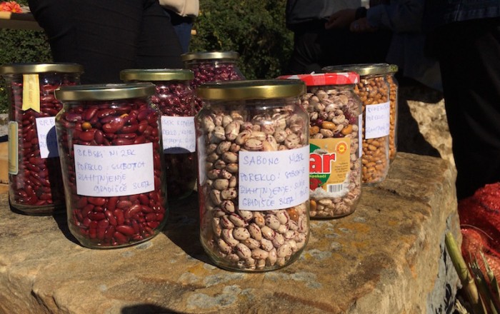 jesenska-rast-na-kozini-