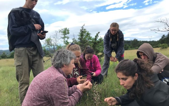 popisovanje-orhidej-