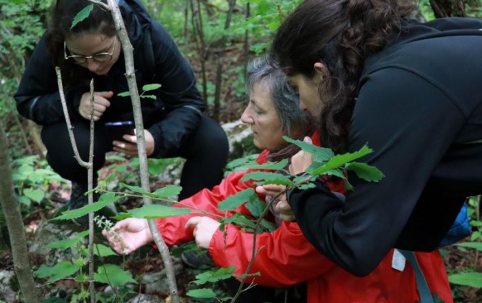 popisovanje-orhidej-
