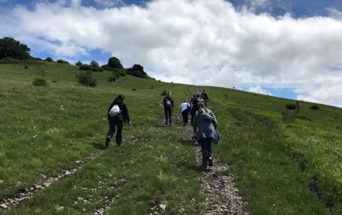 popisovanje-orhidej-