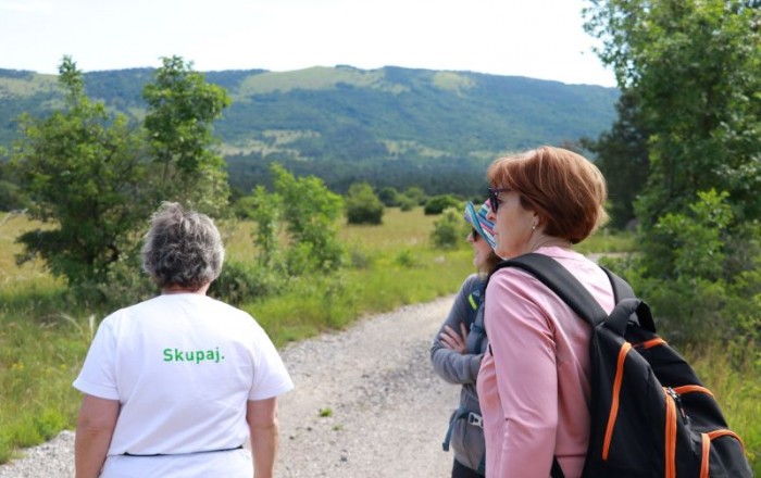 travniske-orhideje-na-gabrku-