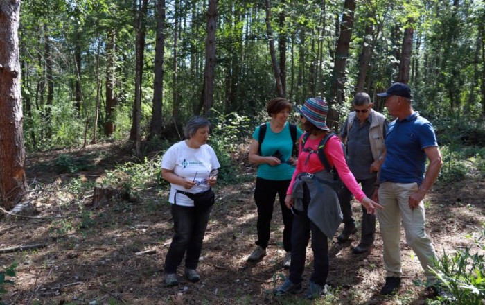 travniske-orhideje-na-gabrku-