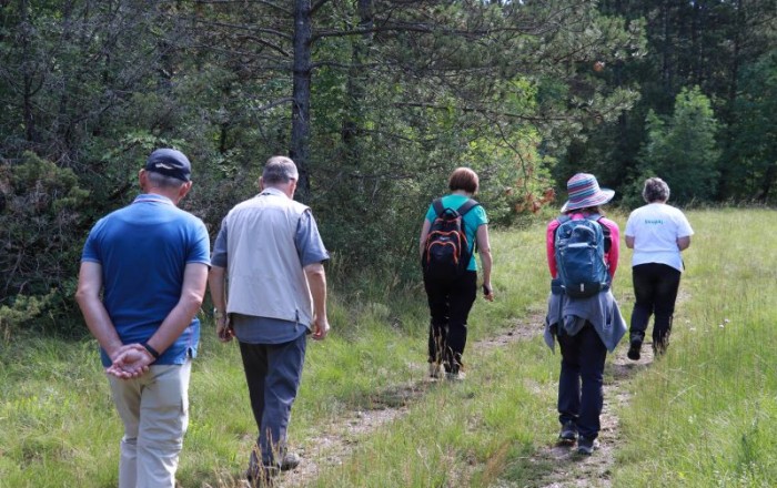 travniske-orhideje-na-gabrku-