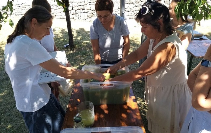 travnat-papir-na-skrateljnovi-