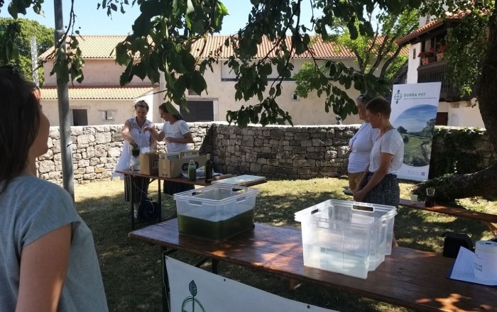 travnat-papir-na-skrateljnovi-