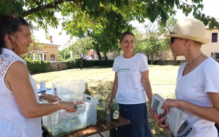 travnat-papir-na-skrateljnovi-