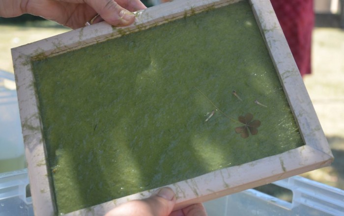 travnat-papir-na-skrateljnovi-