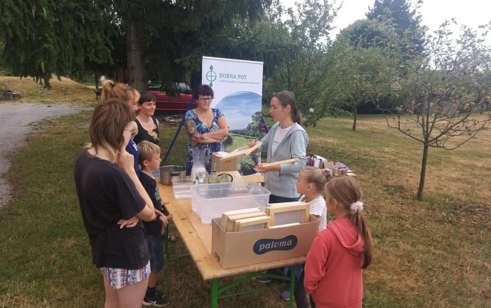 papir-iz-trave-v-rodiku-