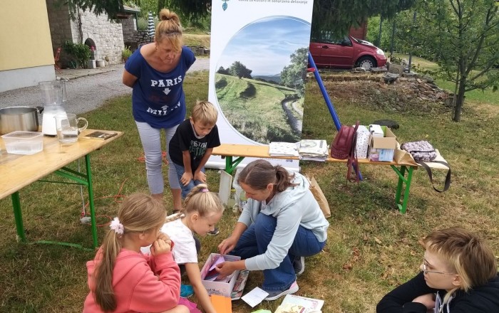 papir-iz-trave-v-rodiku-