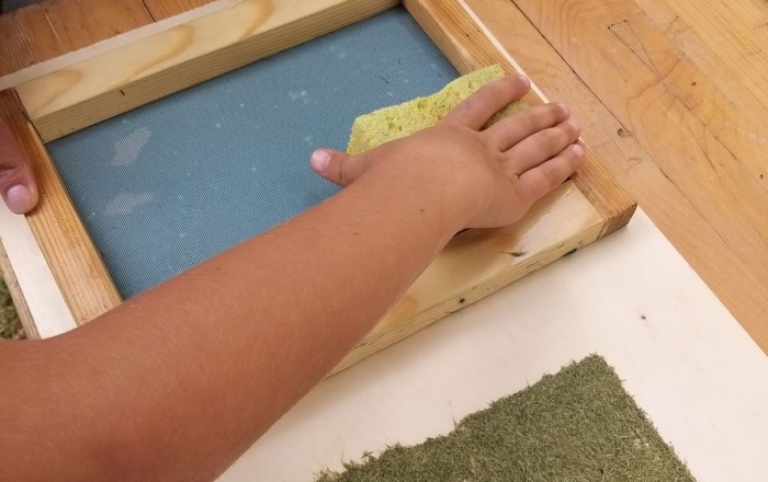 papir-iz-trave-v-rodiku-