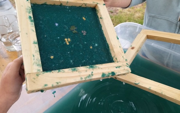 papir-iz-trave-v-rodiku-