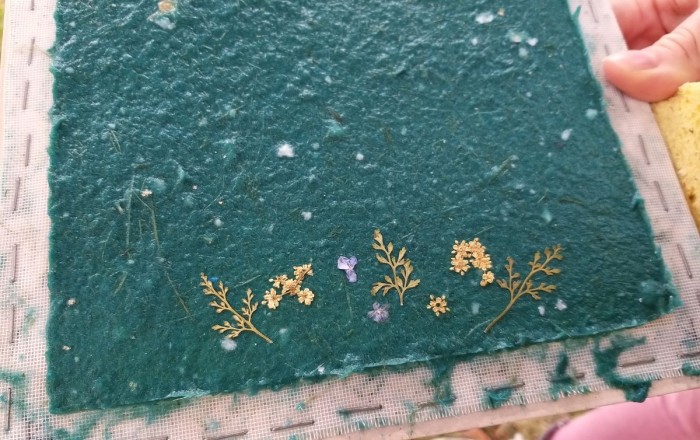 papir-iz-trave-v-rodiku-