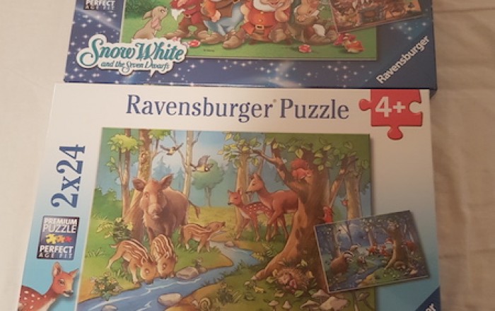 naj-živi-prostovoljstvo-