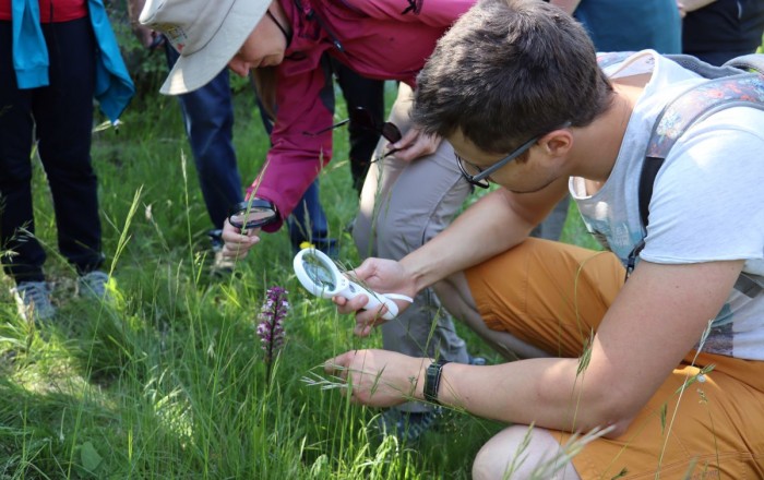 med-kukavicevkami-na-gabrku-