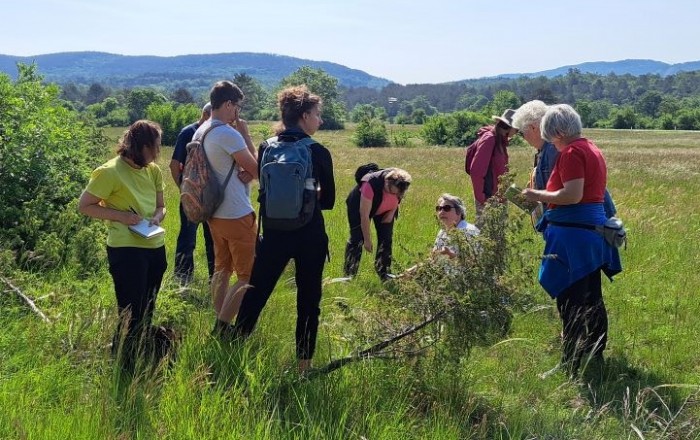 med-kukavicevkami-na-gabrku-