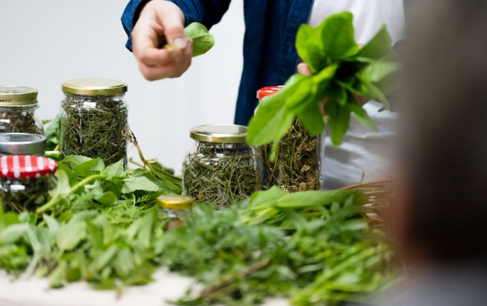 zeliscarski-dan-v-dutovljah-