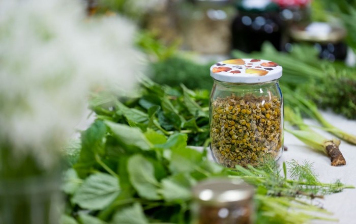 zeliscarski-dan-v-dutovljah-