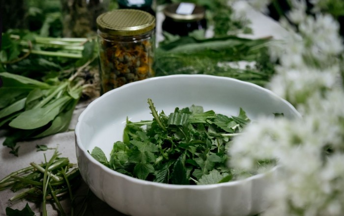 zeliscarski-dan-v-dutovljah-