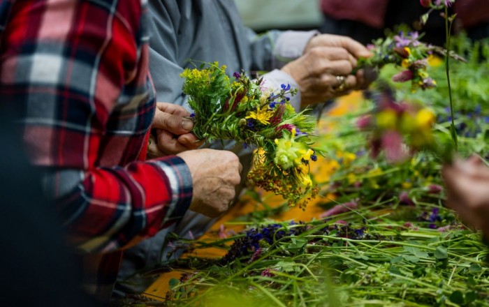 zeliscarski-dan-v-dutovljah-