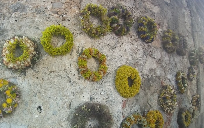 izrocilo-na-festivalu-sanje-
