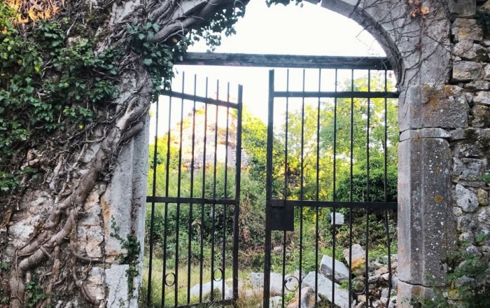 izrocilo-v-divaci-