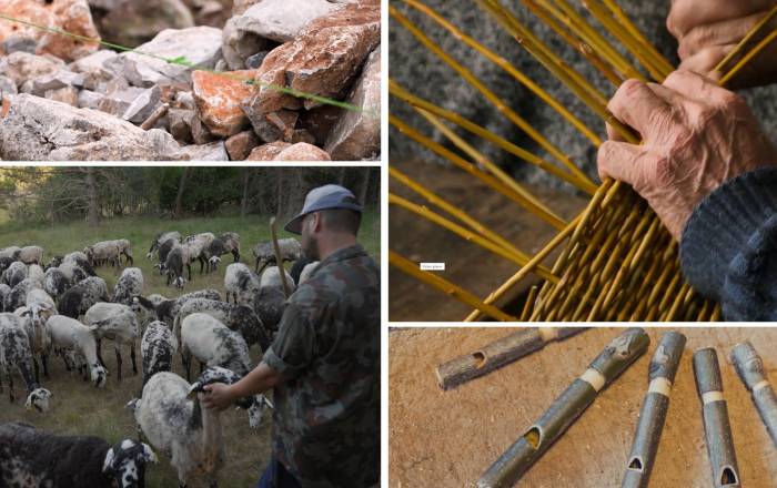 filmski-vecer-v-senozecah-