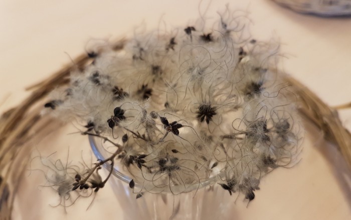 brezplačno-pravno-svetovanje-od-sedaj-tudi-na-kozini-