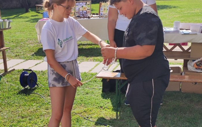 filmski-dan-v-divaci-