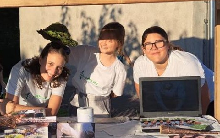 filmski-dan-v-divaci-