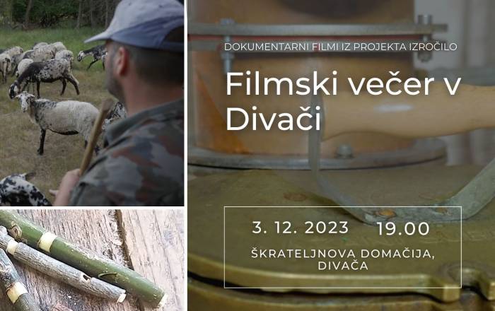 filmski-vecer-divaca2-