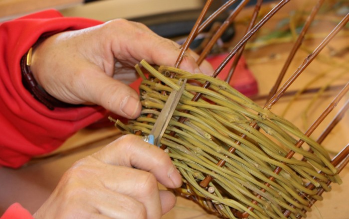 otip-narave-slamnikarski-dom2-