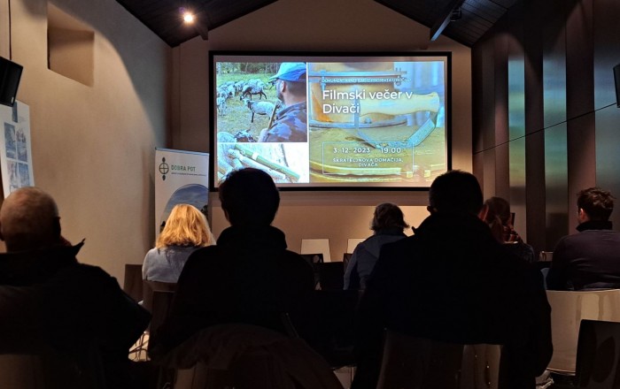 filmski-vecer-v-divaci-
