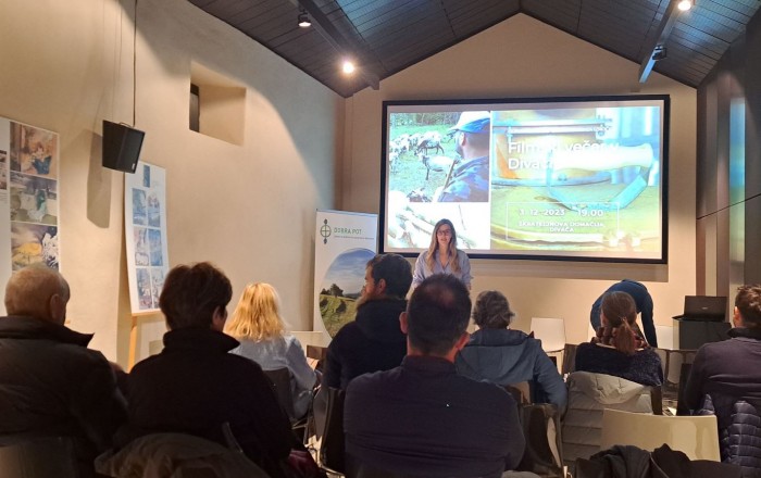 filmski-vecer-v-divaci-