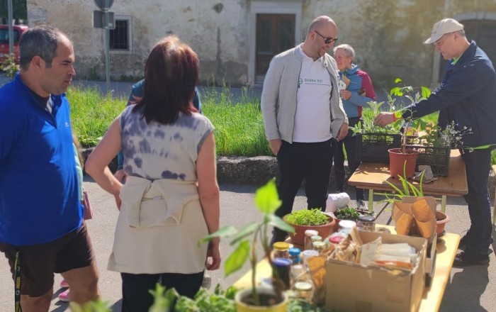 pomladni-rast-v-senozecah-