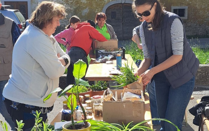 pomladni-rast-v-senozecah-