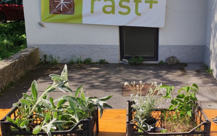 pomladni-rast-v-senozecah-