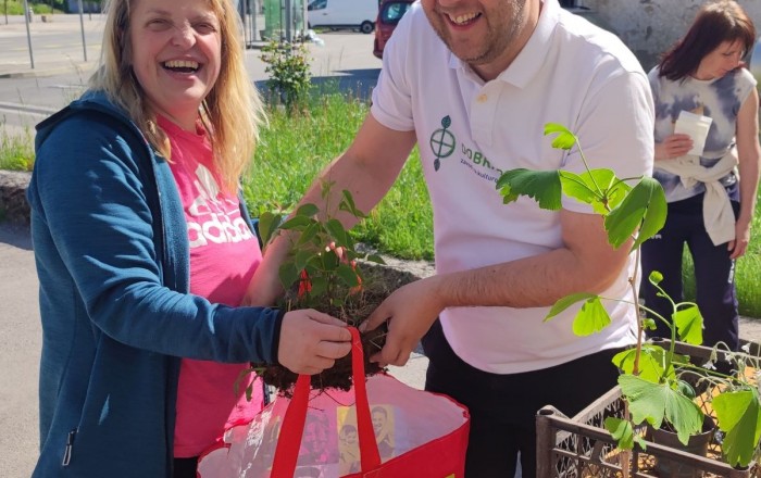 pomladni-rast-v-senozecah-